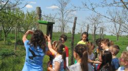 A gyerekek is segítettek a búbosbankának szánt odú kihelyezésébenA gyerekek is segítettek a búbosbankának szánt odú kihelyezésében