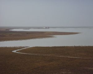 Szll Antal - Kardoskt