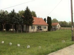 Szll Antal - Kardoskt